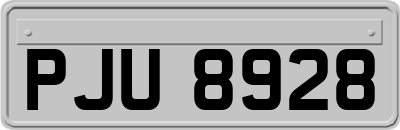 PJU8928