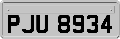 PJU8934