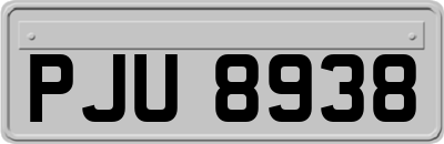 PJU8938