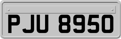PJU8950