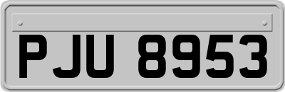PJU8953