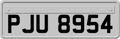 PJU8954
