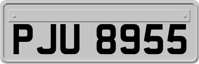 PJU8955