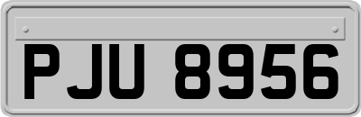 PJU8956