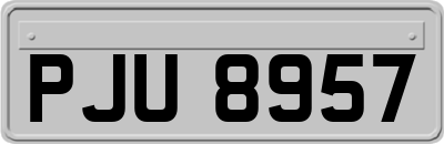 PJU8957