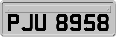 PJU8958