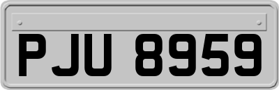 PJU8959