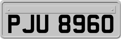 PJU8960