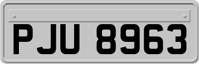 PJU8963