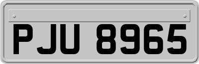 PJU8965