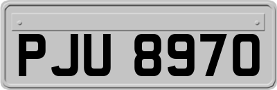 PJU8970
