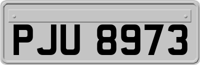 PJU8973