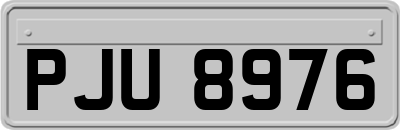 PJU8976