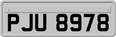 PJU8978