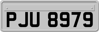 PJU8979