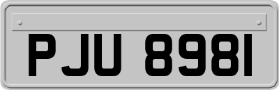PJU8981