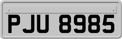 PJU8985
