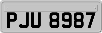 PJU8987