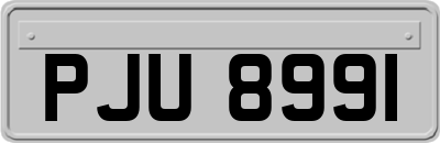 PJU8991