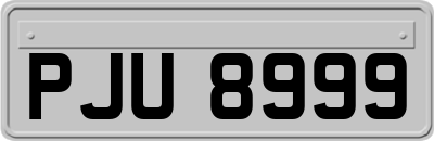 PJU8999