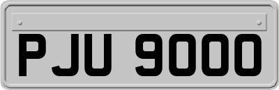 PJU9000