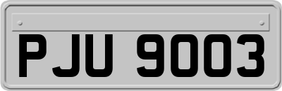 PJU9003