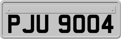 PJU9004