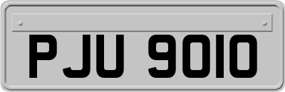 PJU9010