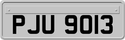 PJU9013