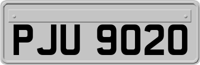 PJU9020