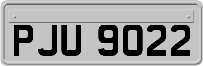 PJU9022