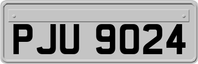 PJU9024