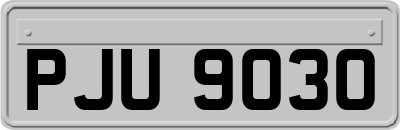 PJU9030