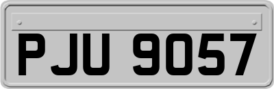 PJU9057