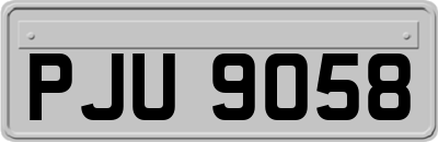 PJU9058
