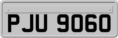 PJU9060