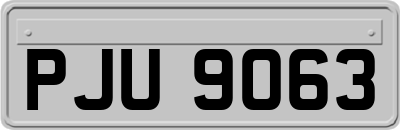 PJU9063