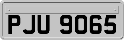 PJU9065