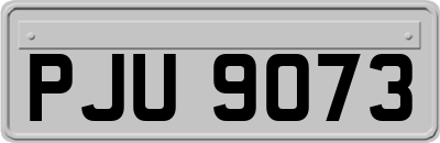 PJU9073