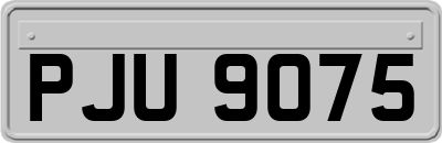 PJU9075