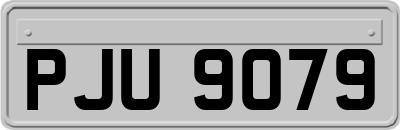 PJU9079