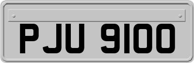 PJU9100