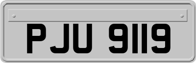 PJU9119