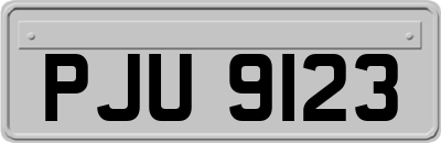 PJU9123