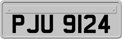 PJU9124