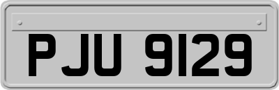 PJU9129