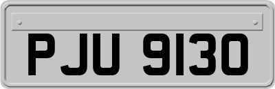 PJU9130