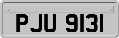 PJU9131