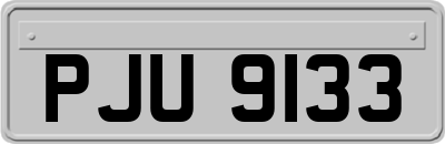 PJU9133