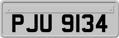 PJU9134